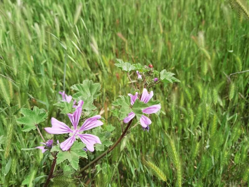 Huawei P40 Pro: Οι «τρικλοποδιές» δεν του στερούν τον τίτλο του κορυφαίου | 
