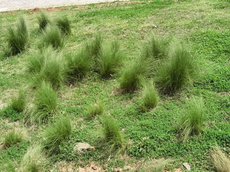 Huawei P40 Pro: Οι «τρικλοποδιές» δεν του στερούν τον τίτλο του κορυφαίου | 