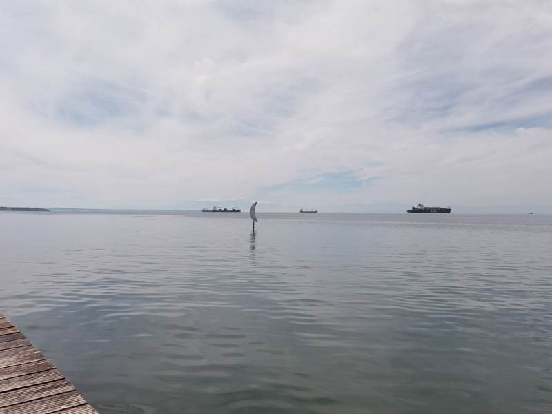 Huawei P40 Pro: Οι «τρικλοποδιές» δεν του στερούν τον τίτλο του κορυφαίου | 