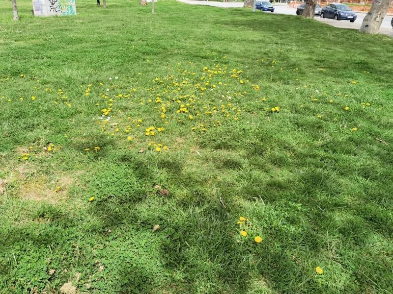 Huawei P40 Pro: Οι «τρικλοποδιές» δεν του στερούν τον τίτλο του κορυφαίου | 