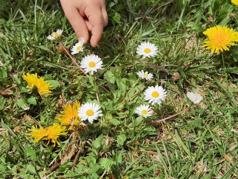 Huawei P40 Pro: Οι «τρικλοποδιές» δεν του στερούν τον τίτλο του κορυφαίου | 