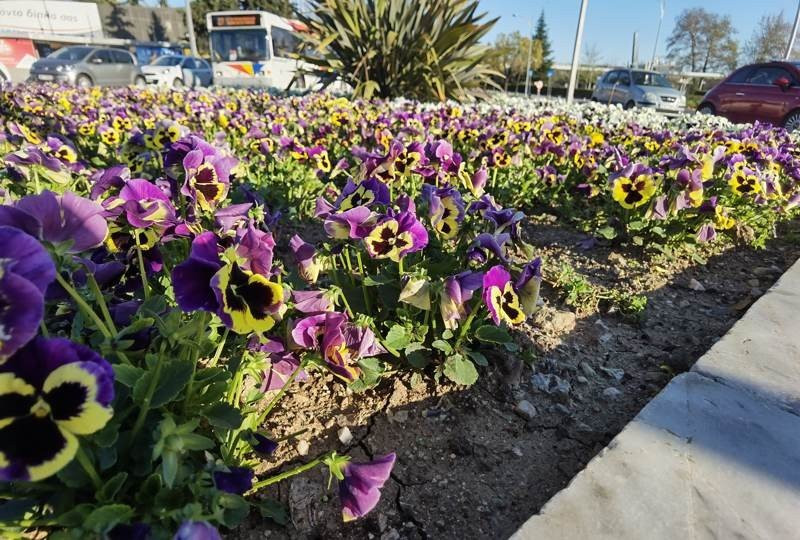 Huawei P40 Pro: Οι «τρικλοποδιές» δεν του στερούν τον τίτλο του κορυφαίου | 