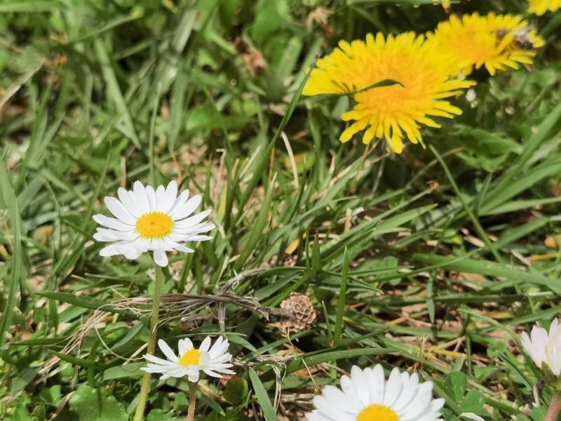 Huawei P40 Pro: Οι «τρικλοποδιές» δεν του στερούν τον τίτλο του κορυφαίου | 