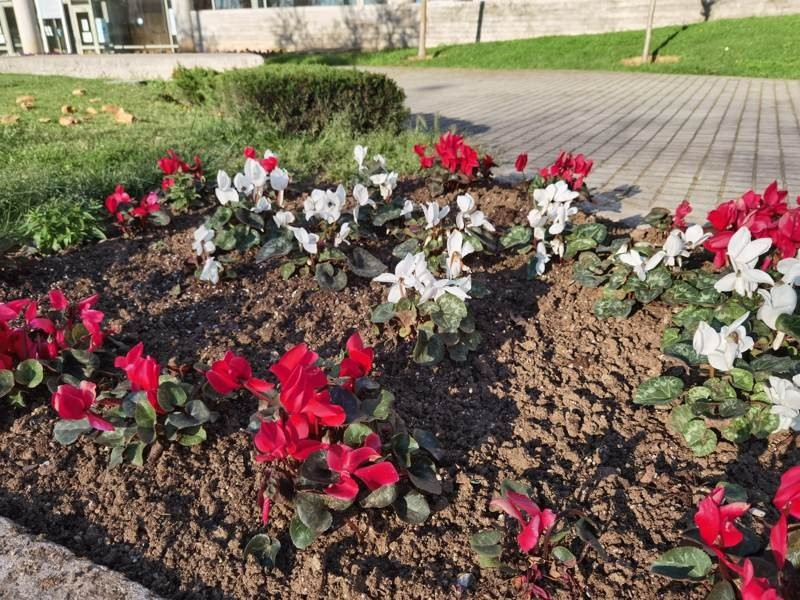 Huawei P40 Pro: Οι «τρικλοποδιές» δεν του στερούν τον τίτλο του κορυφαίου | 