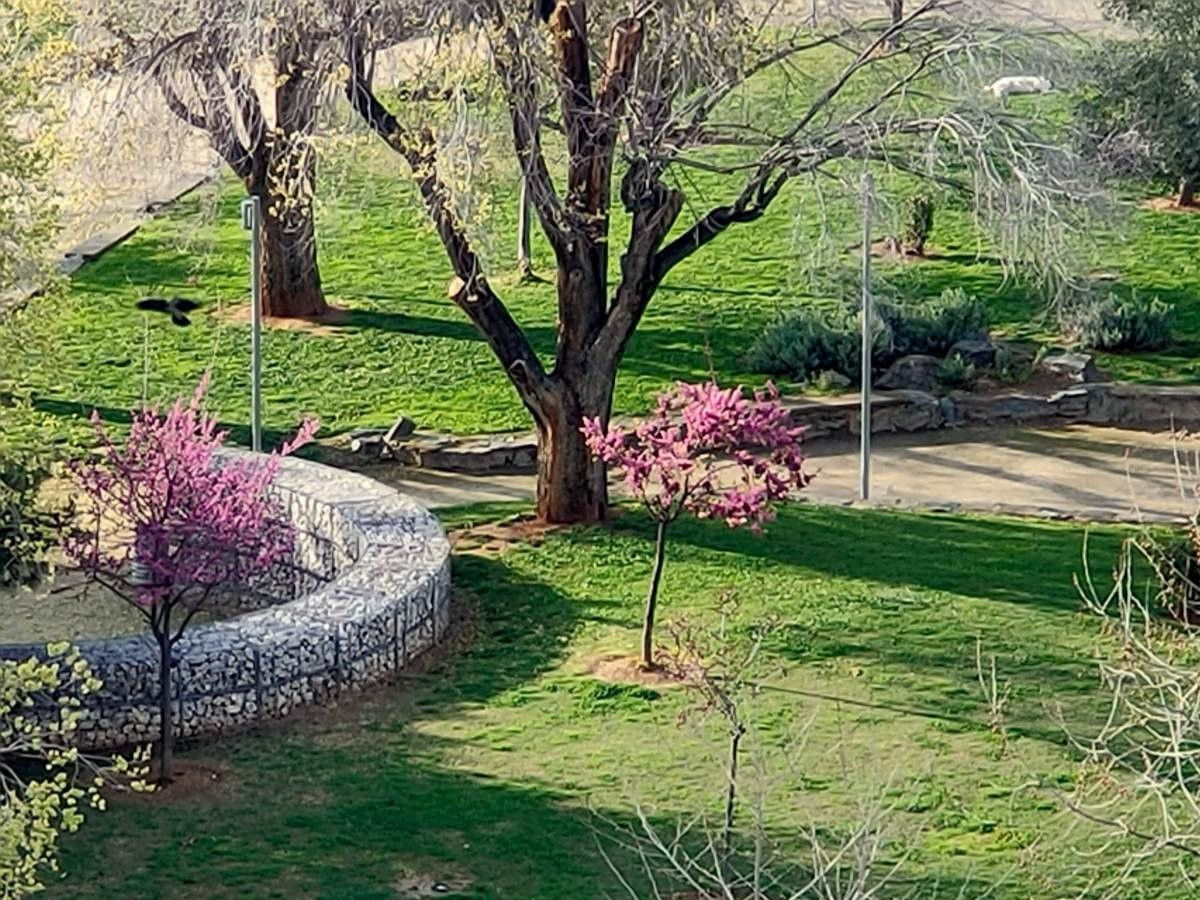 Realme X2 Pro: Μια value-for-money ναυαρχίδα που δεν είναι καθόλου αδιάφορη | 