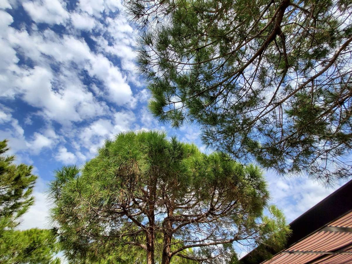 Samsung Galaxy Z Flip: Δύο εβδομάδες παρέα με το αναδιπλούμενο clamshell [Review] | 