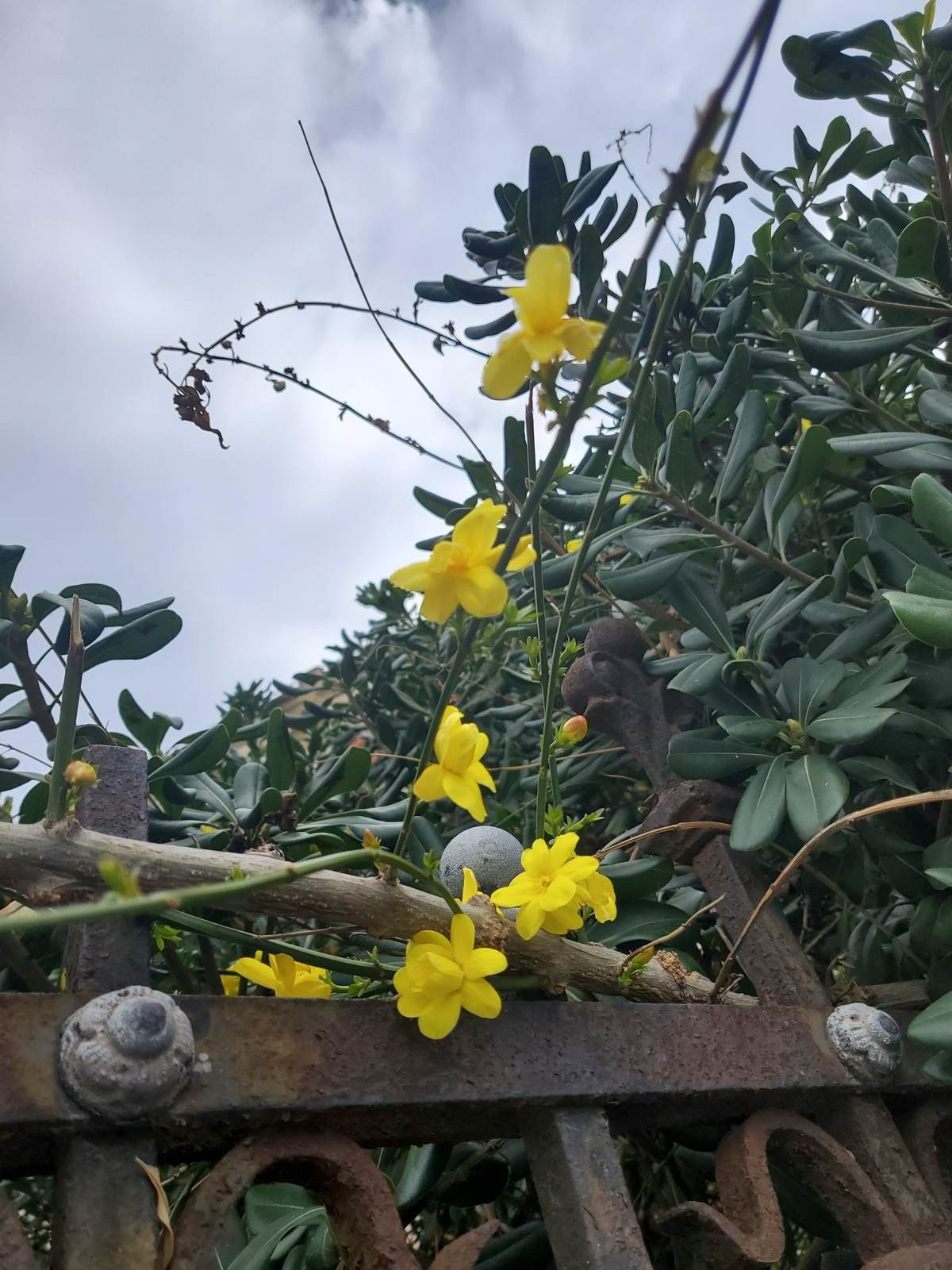 Samsung Galaxy Z Flip: Δύο εβδομάδες παρέα με το αναδιπλούμενο clamshell [Review] | 