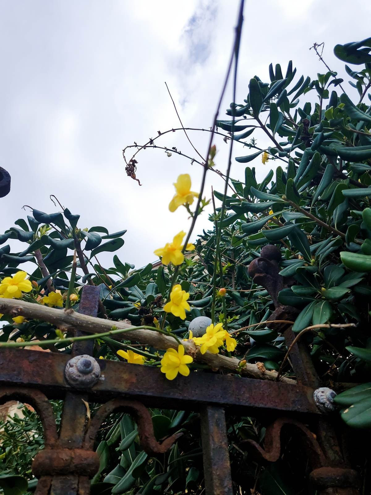 Samsung Galaxy Z Flip: Δύο εβδομάδες παρέα με το αναδιπλούμενο clamshell [Review] | 