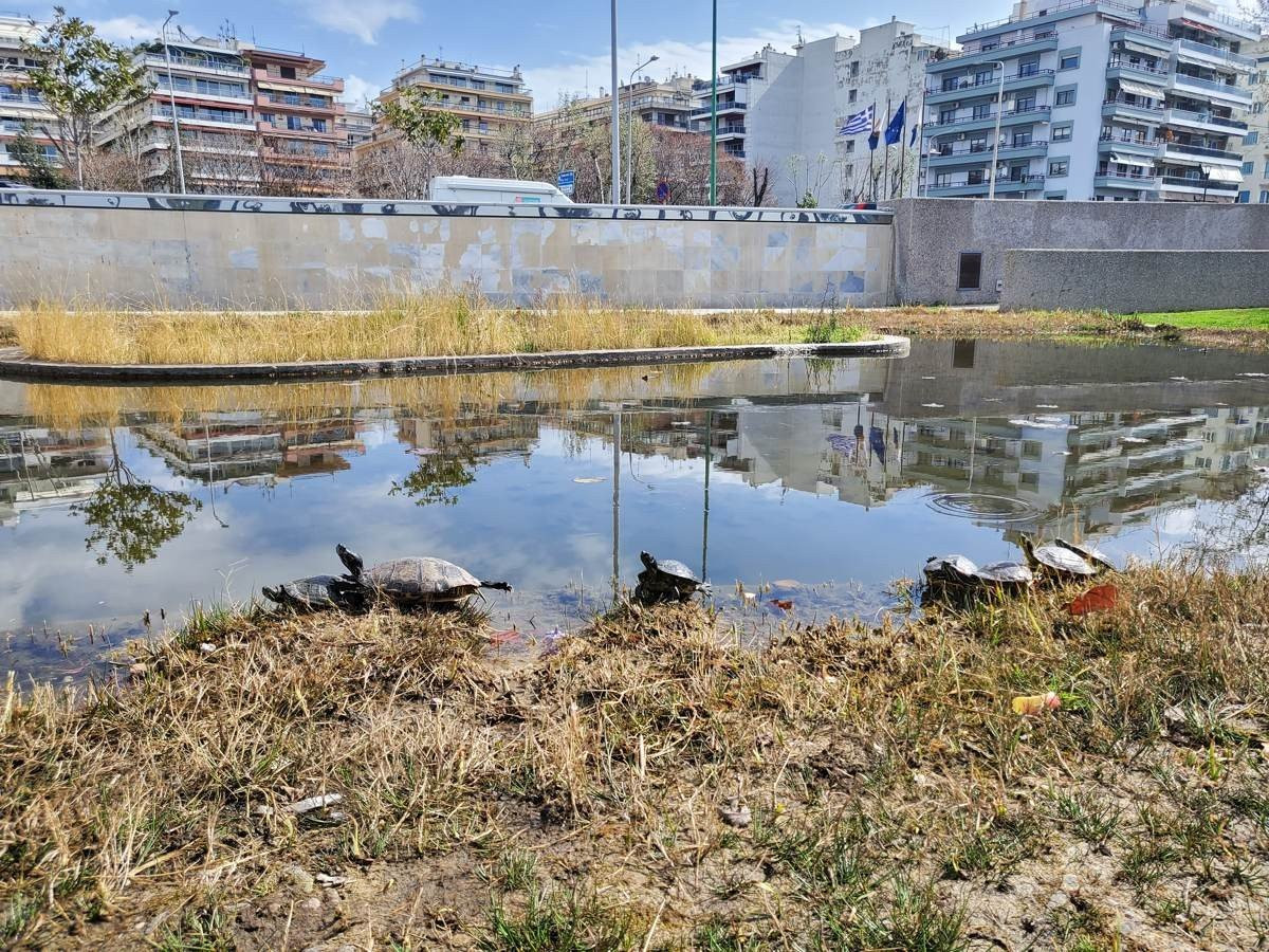 Samsung Galaxy Z Flip: Δύο εβδομάδες παρέα με το αναδιπλούμενο clamshell [Review] | 