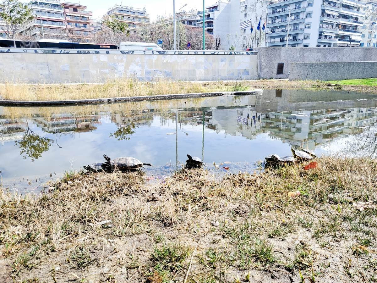 Samsung Galaxy Z Flip: Δύο εβδομάδες παρέα με το αναδιπλούμενο clamshell [Review] | 