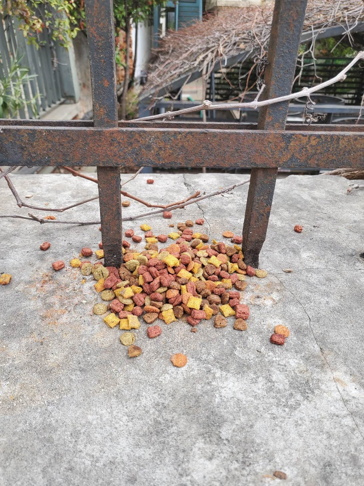 Samsung Galaxy Z Flip: Δύο εβδομάδες παρέα με το αναδιπλούμενο clamshell [Review] | 