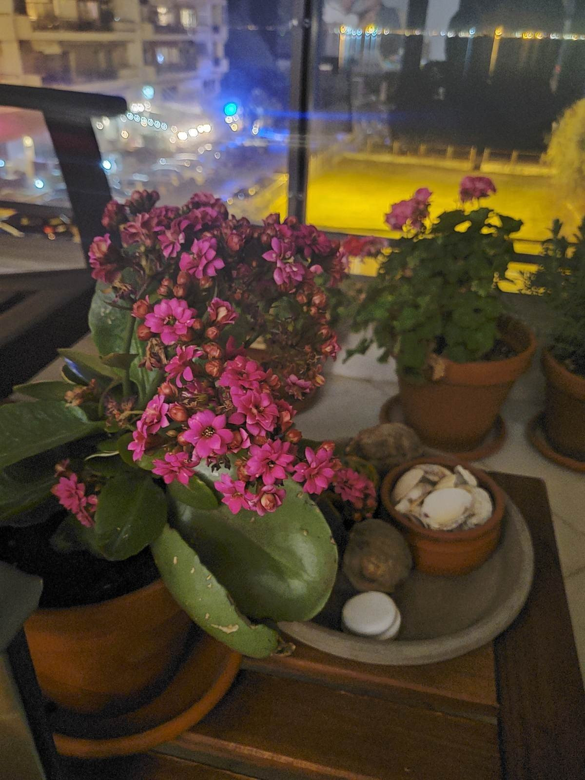 Samsung Galaxy Z Flip: Δύο εβδομάδες παρέα με το αναδιπλούμενο clamshell [Review] | 