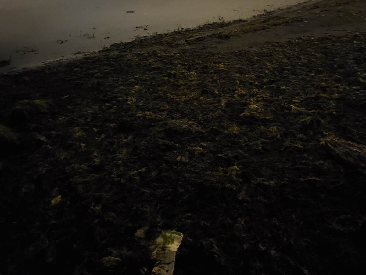 Samsung Galaxy Z Flip: Δύο εβδομάδες παρέα με το αναδιπλούμενο clamshell [Review] | 