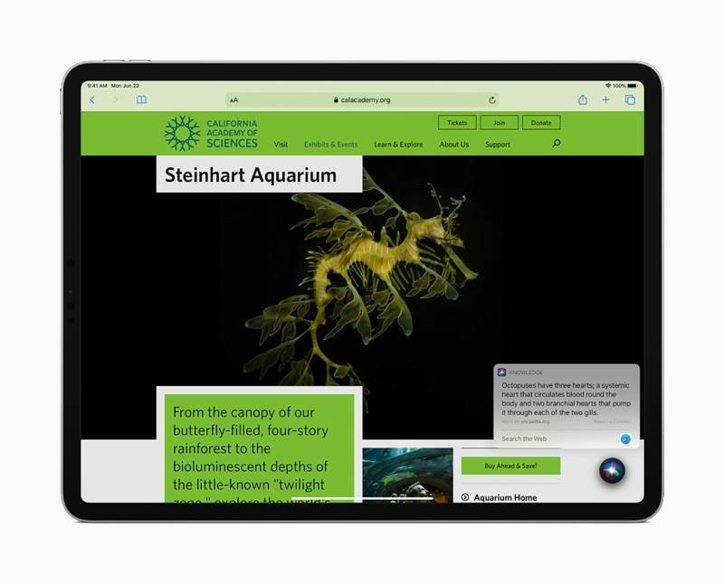 iPadOS 14: Η νέα έκδοση φέρνει νέα χαρακτηριστικά και λειτουργίες για το Apple Pencil | 