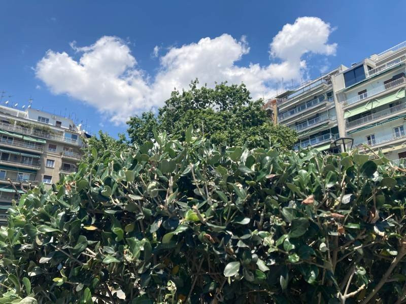 iPhone SE 2020 Review | 