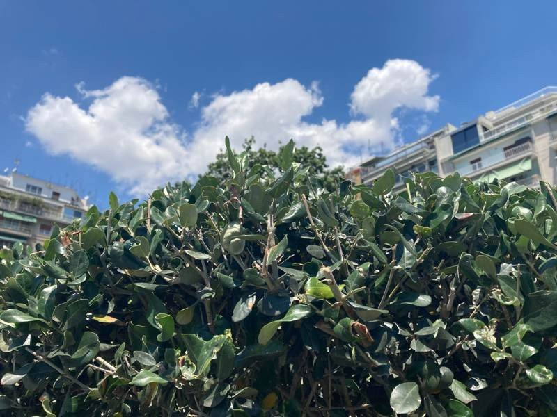 iPhone SE 2020 Review | 