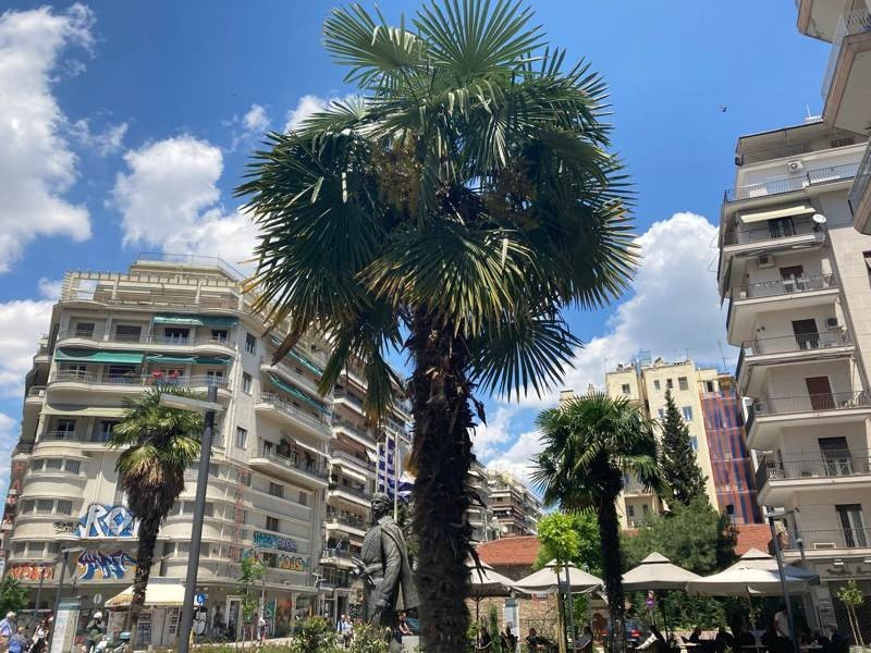 iPhone SE 2020 Review | 