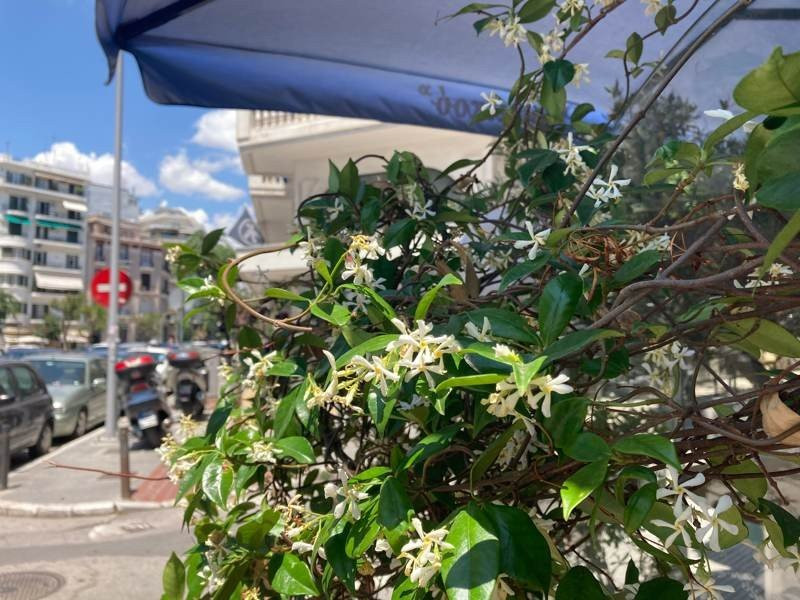 iPhone SE 2020 Review | 