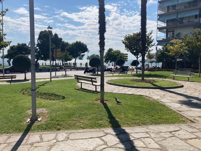 iPhone SE 2020 Review | 