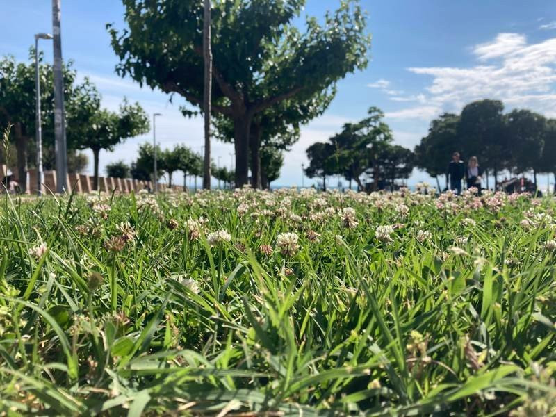 iPhone SE 2020 Review | 