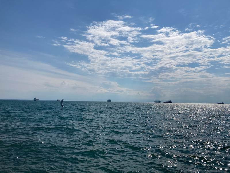 iPhone SE 2020 Review | 