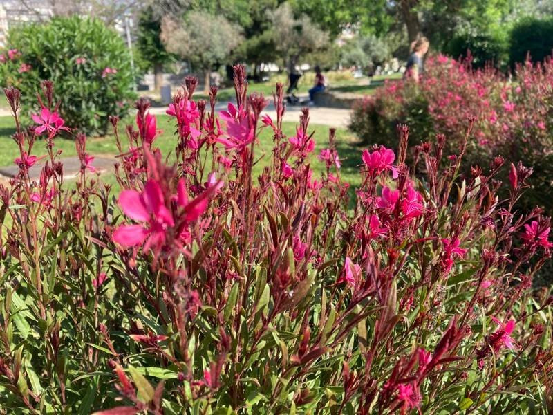 iPhone SE 2020 Review | 