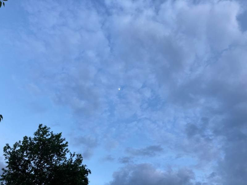 iPhone SE 2020 Review | 