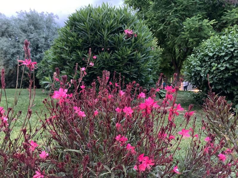 iPhone SE 2020 Review | 