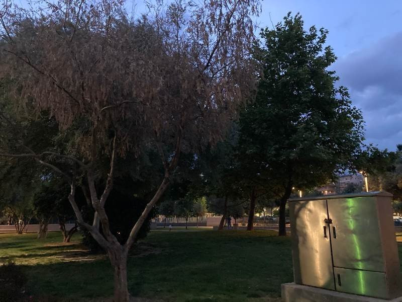 iPhone SE 2020 Review | 