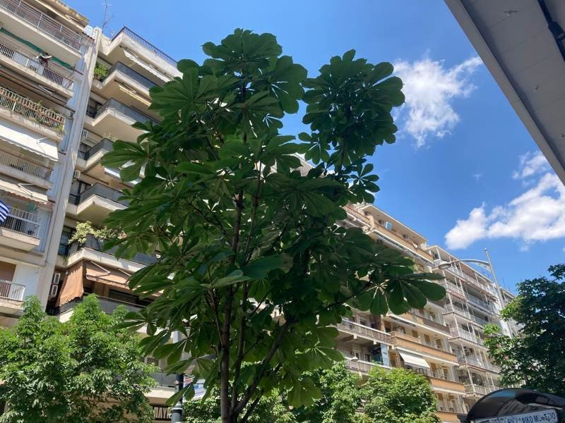 iPhone SE 2020 Review | 