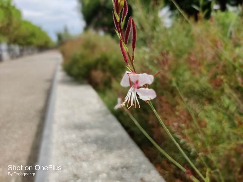 OnePlus Nord: Flagship killer ή απλά ένα καλό mid-range; [Review] | 