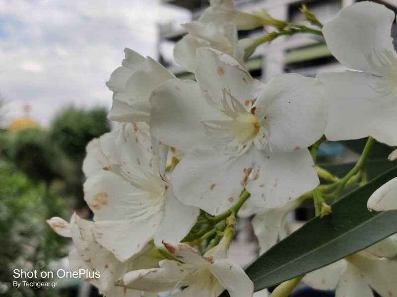 OnePlus Nord: Flagship killer ή απλά ένα καλό mid-range; [Review] | 