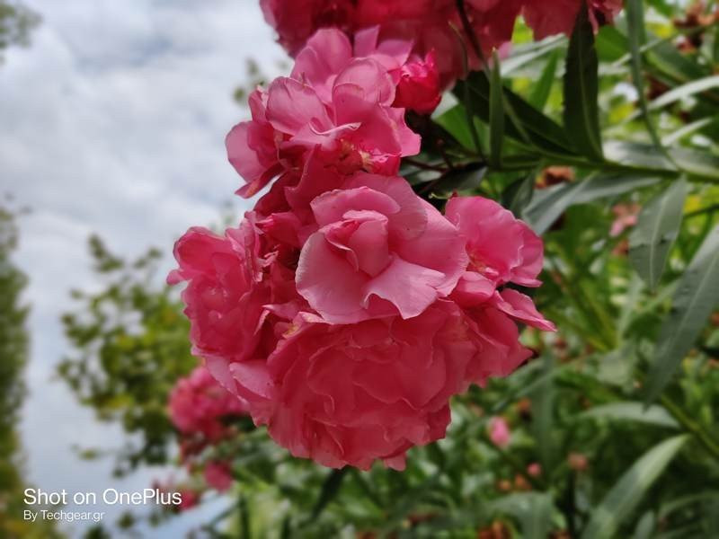 OnePlus Nord: Flagship killer ή απλά ένα καλό mid-range; [Review] | 