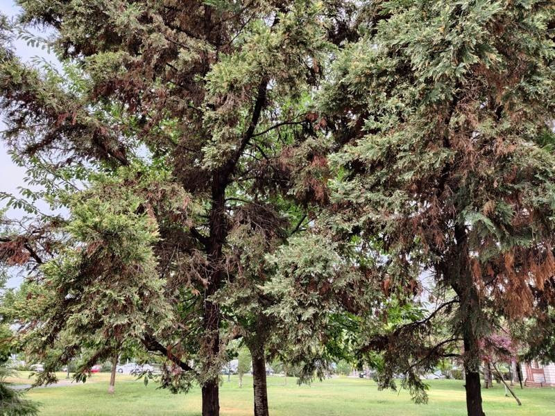 OnePlus Nord: Flagship killer ή απλά ένα καλό mid-range; [Review] | 