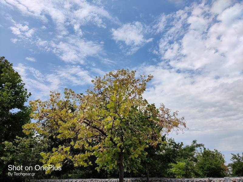 OnePlus Nord: Flagship killer ή απλά ένα καλό mid-range; [Review] | 