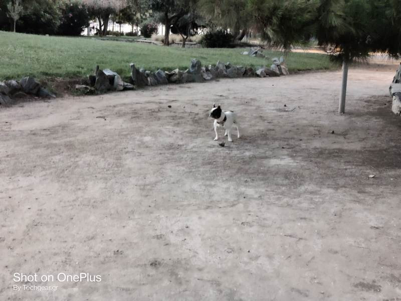 OnePlus Nord: Flagship killer ή απλά ένα καλό mid-range; [Review] | 