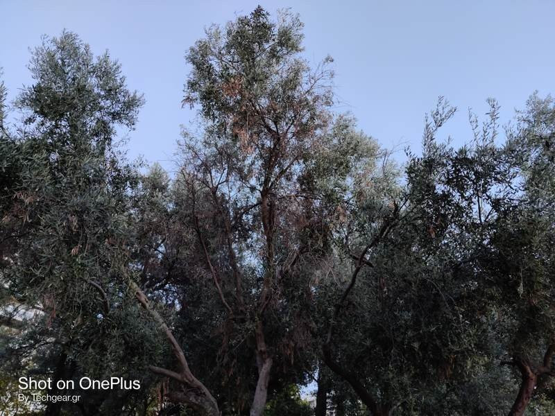 OnePlus Nord: Flagship killer ή απλά ένα καλό mid-range; [Review] | 