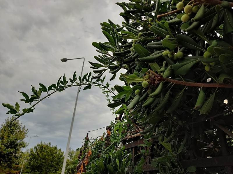 OnePlus Nord: Flagship killer ή απλά ένα καλό mid-range; [Review] | 