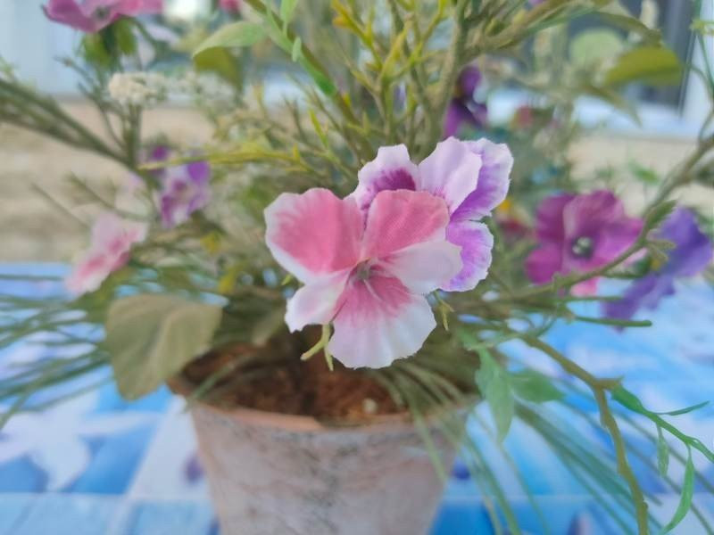 Realme X3 SuperZoom Review | 