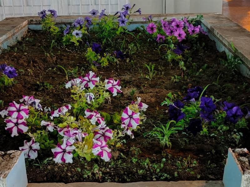 Realme X3 SuperZoom Review | 