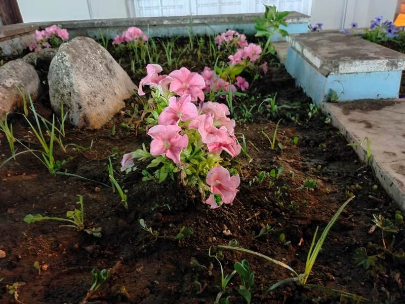 Realme X3 SuperZoom Review | 