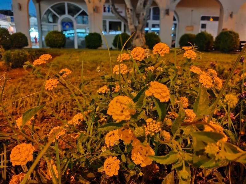 Realme X3 SuperZoom Review | 