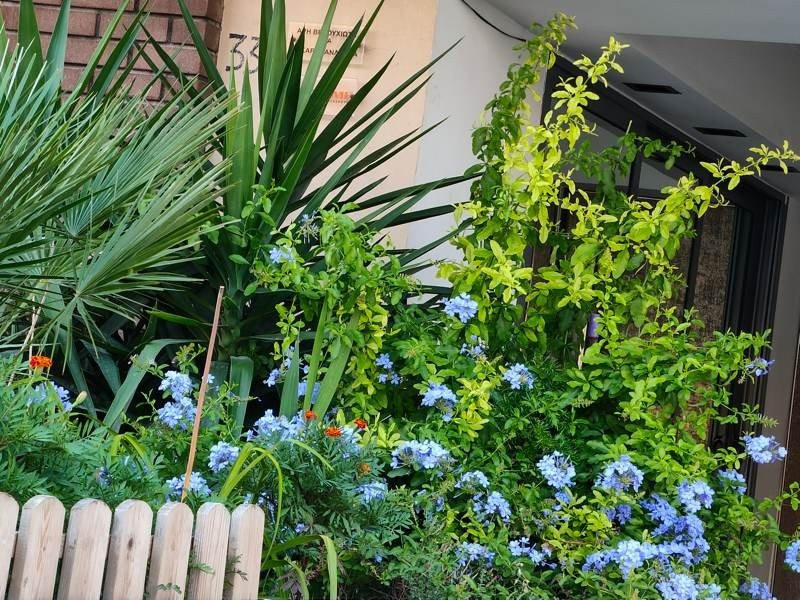 Realme X3 SuperZoom Review | 