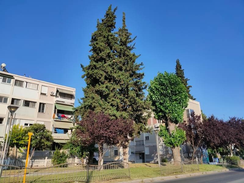 Realme X3 SuperZoom Review | 