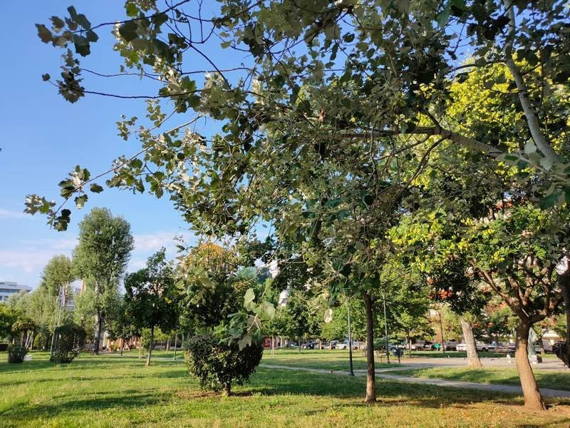 Realme X3 SuperZoom Review | 