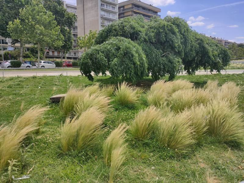 Realme X50 Pro 5G Review | 