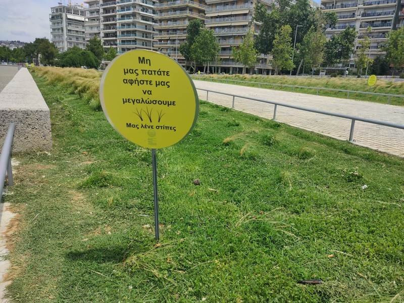 Realme X50 Pro 5G Review | 