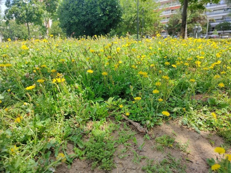 Realme X50 Pro 5G Review | 