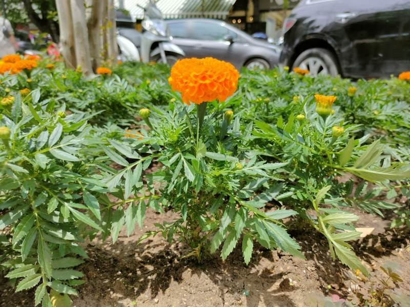 Realme X50 Pro 5G Review | 