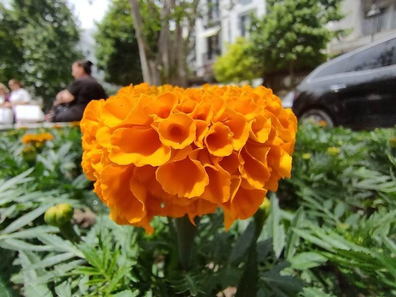 Realme X50 Pro 5G Review | 